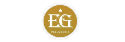 edgargoyeneche.com
